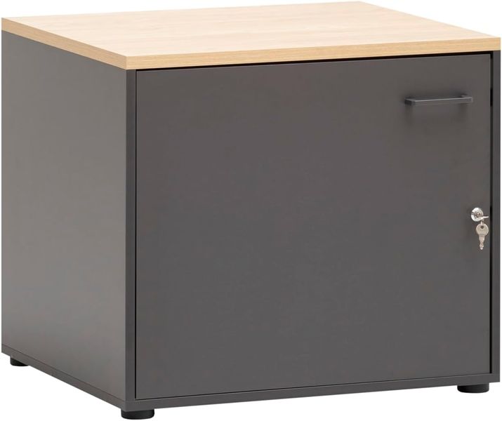 Abschliessbarer multifunktionaler Aufbewahrungsschrank in Anthrazit, sichere Lagerung, Abmessungen 67,1x60x60cm